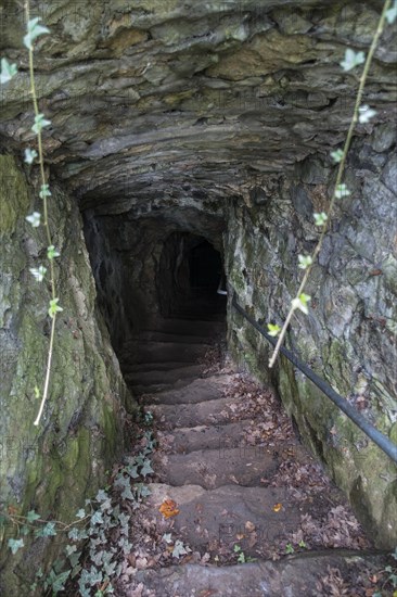 Grottes de Goyet near Mozet