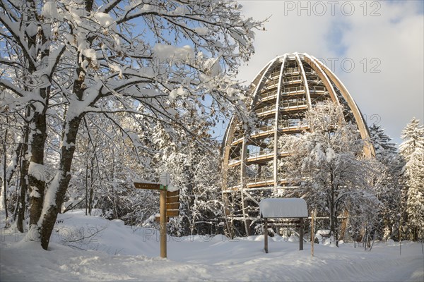 Baumwipfelpfad in winter