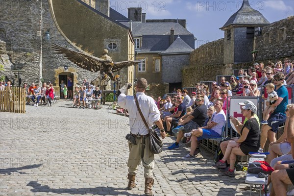 Tourists watching falconry