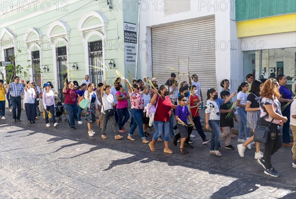 Procession of people carrying palm leaves on Palm Sunday