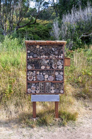 Insect bug hotel