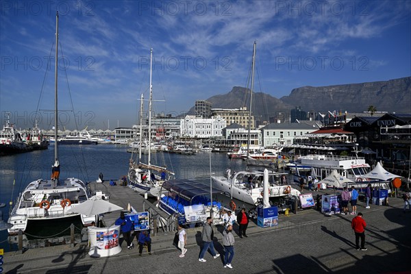 View of Table Mountain from the Victoria and Alfred Waterfront