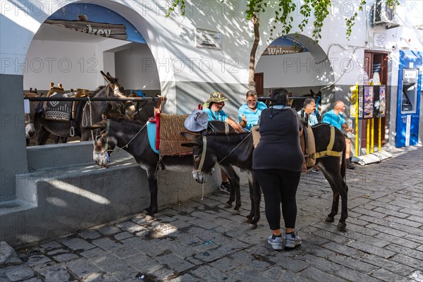 Valley station of the donkeys that carry tourists up to the Acropolis