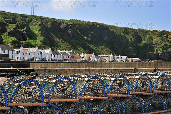 Lobster traps