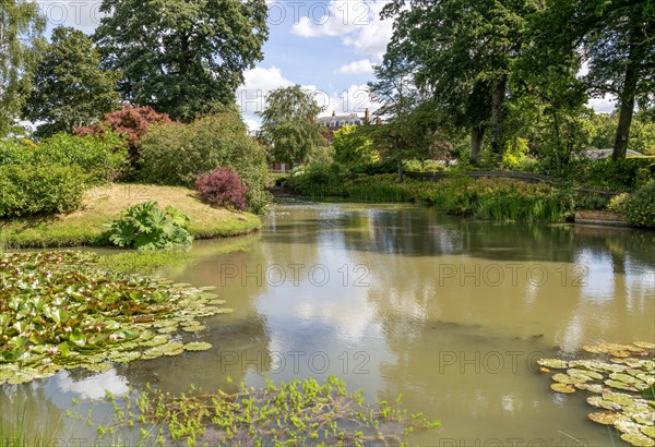 Redisham Hall gardens and plant nursery