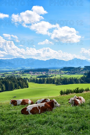 View from the Auerberg near Bernbeuern to the Allgaeu mountains near Fuessen