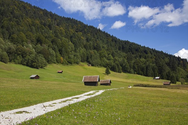 Wooden huts