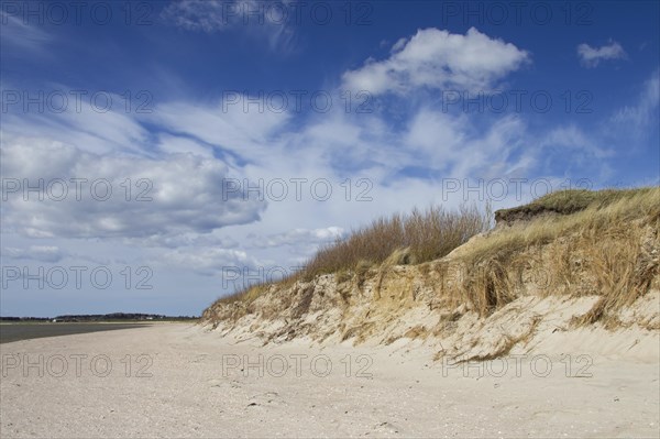 Beach at Goting Kliff on the island Foehr along the Wadden Sea