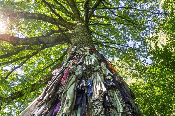 Old clothes hanging from the Chene a clous