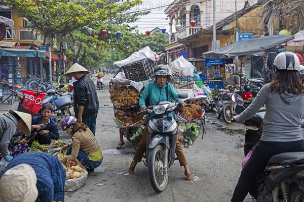 Vietnamese woman riding motorbike heavily laden with chickens for market in the city Hoi An