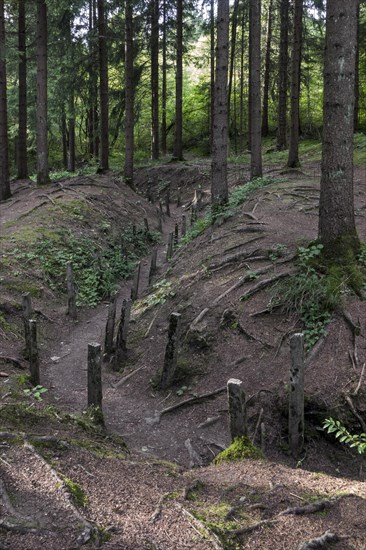 Preserved First World War One London communication trench