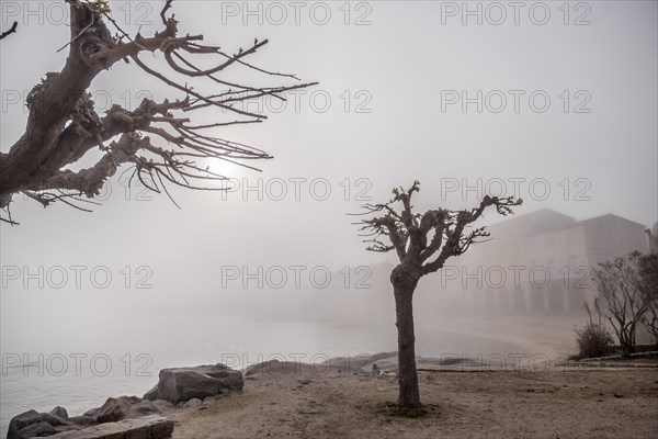 Coastal village in the morning mist on the Mediterranean island of Corsica