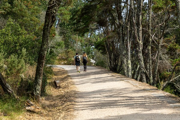 Two people walking in woodland