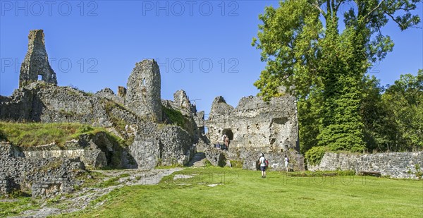 Chateau de Montaigle in summer