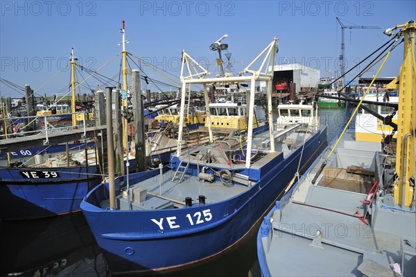 Fishing boats