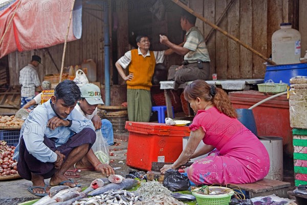Burmese woman cleaning fish and selling seafood at food market in Yangon