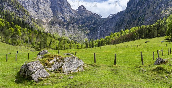 Landscape and nature reserves around the Obersee