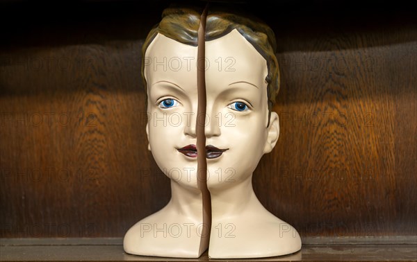 Model of person's head and. face split into two parts on display in auction room