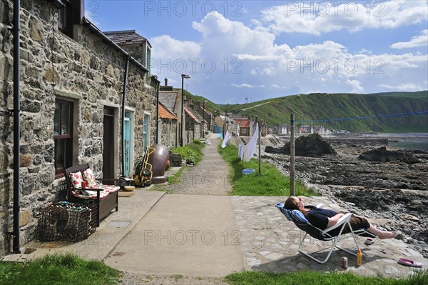 Crovie