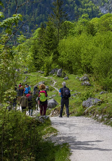 Hikers and tourists at Obersee