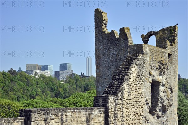 Ruin of the watchtower Dent Creuse