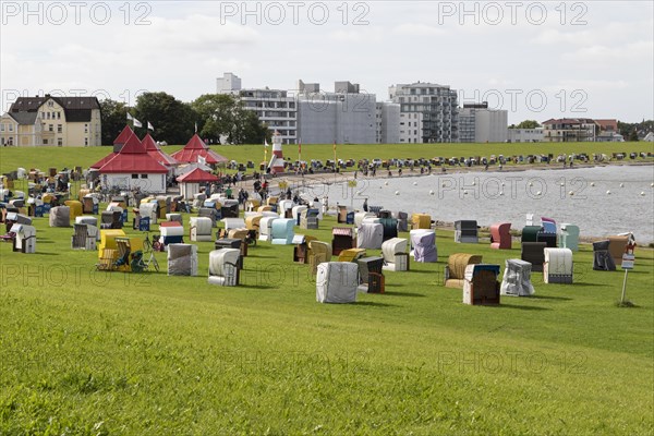 Beach chairs on a green meadow with dyke on the beach of Cuxhaven