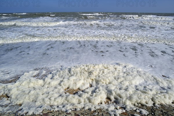 Sea foam