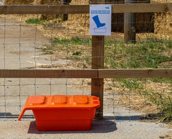 Sign and bucket for foot dip at pig farm