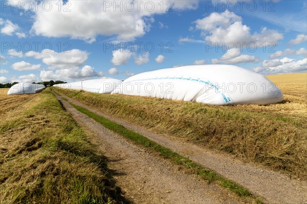 HYTIBAG grain silo bags in cereal field