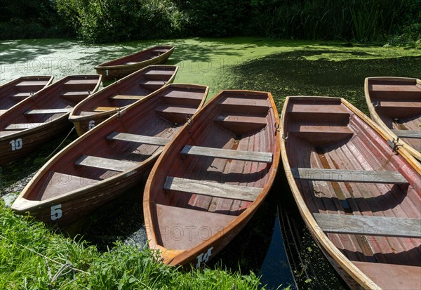 Rowing boats on River Stour