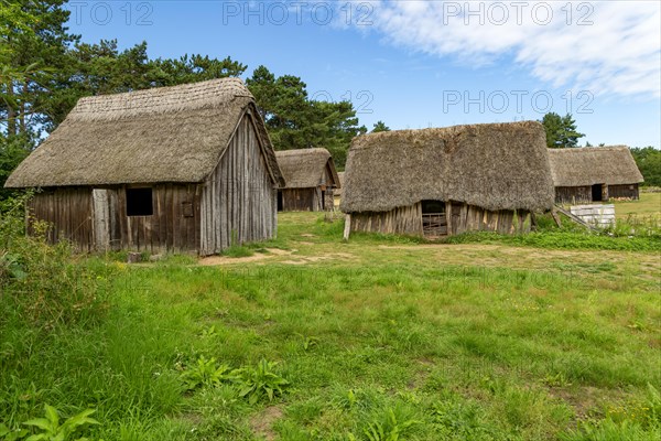 Wood and thatch buildings at West Stow