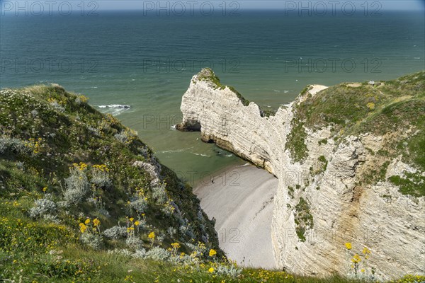 Rock cliffs and chalk cliffs of Etretat