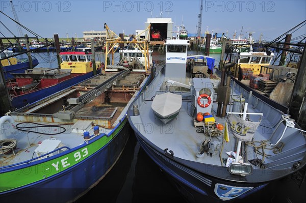 Fishing boats