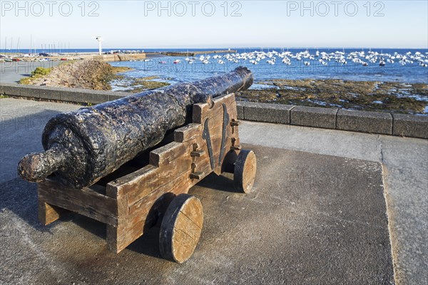 Salvaged 18th century ship's cannon from the Juste