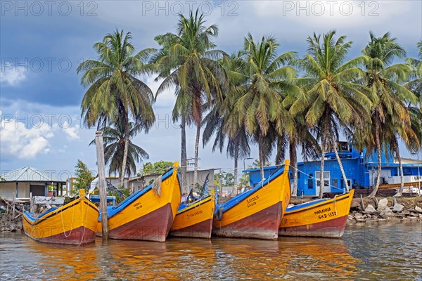 Traditional colourful wooden fishing boats in the harbour of New Amsterdam