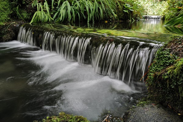 Water flowing through a wooded area on a cold day along the Wild Atlantic way