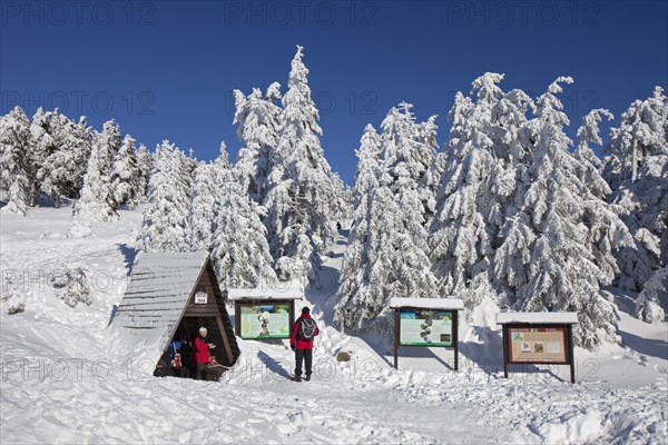Tourists and frozen snow covered spruce trees in winter at Brocken