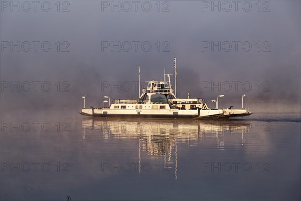 The Elbe ferry Tanja in the early morning mist between Darchau and Neudarchau on the Elbe in the UNESCO Biosphere Reserve Elbe River Landscape. Amt Neuhaus