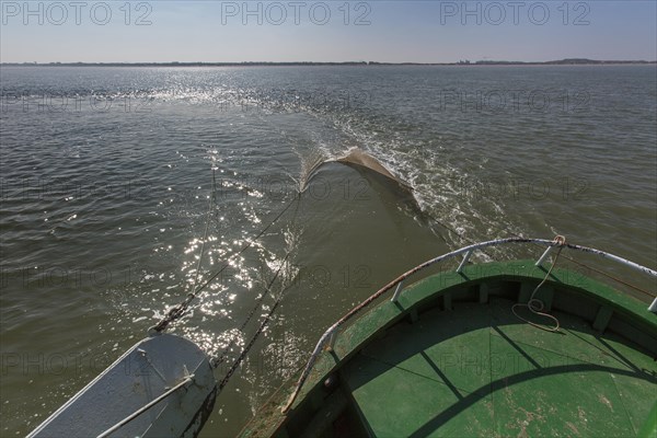 Shrimp boat with fish net fishing for shrimps on the North Sea