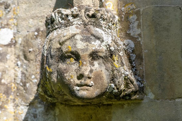 Weathered stonework moss and lichen growing on a queen's head