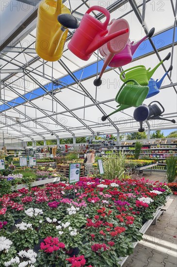 Flowers and colourful watering cans in a garden centre