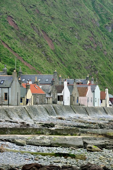 Crovie