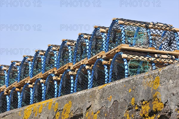 Stacked lobster traps