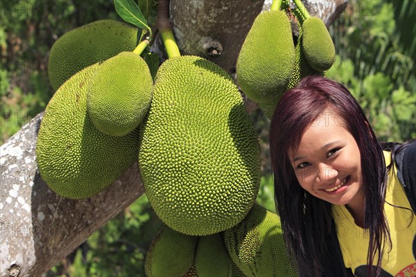 Jackfruit tree