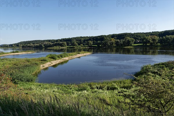 Elbe floodplain near Darchau in the Elbe River Landscape UNESCO Biosphere Reserve. Amt Neuhaus