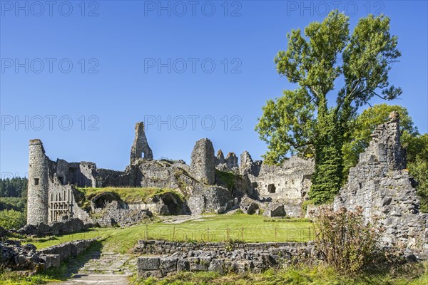 Chateau de Montaigle in summer