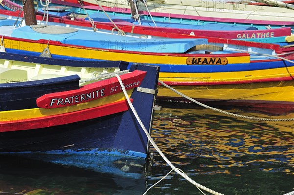 Traditional colourful fishing boats for fishing anchovies in the harbour at Collioure