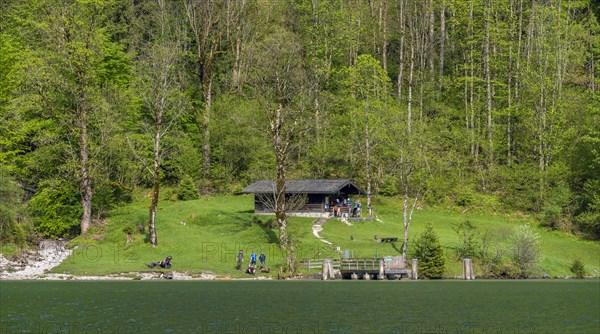 Landscape and nature reserves around the Obersee