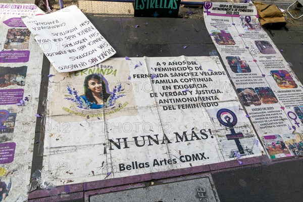 Protest banners demanding justice for Fernanda Sanchez Velarde femicide murder victim