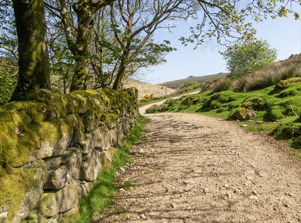 Walking route track West Dart valley walk